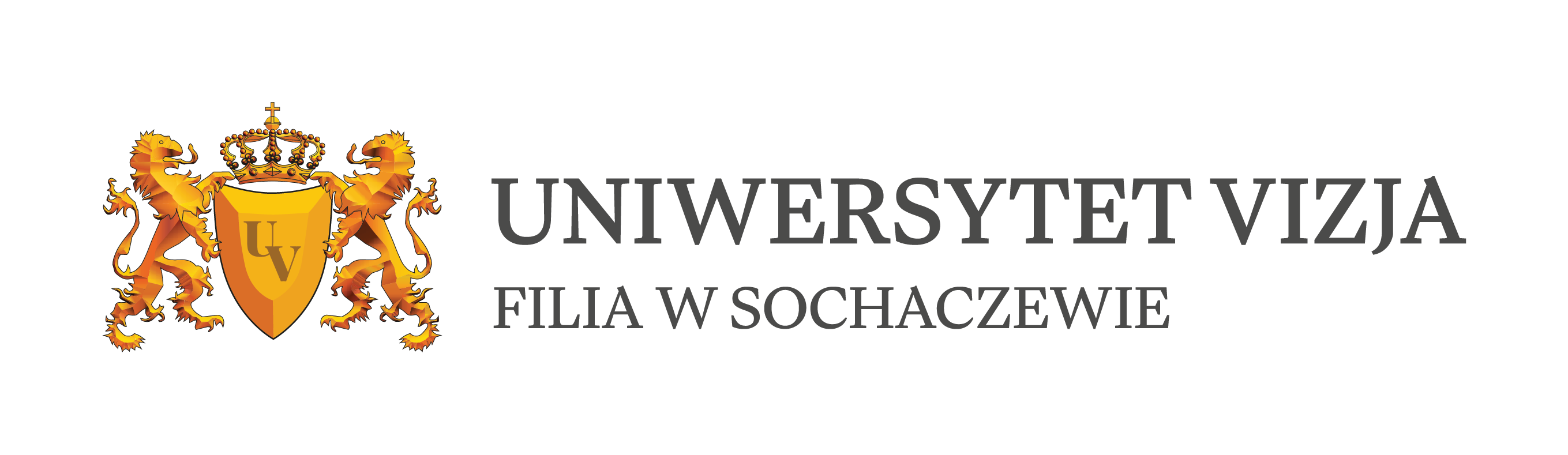 VIZJA